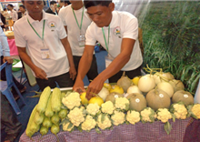 ពិព័រណ៍ ផលិតផល នាំចេញ-នាំចូល និងខេត្ត១ ផលិតផល១ លើកទី៧ បានចាប់ផ្តើម