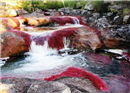 ទន្លេ�ឥន្ទនូ�Cano Cristales ស្រស់ស្អាតដូចក្នុងរឿងព្រេង