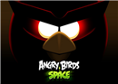 Rovio បង្ហាញ Angry Birds Space ជាផ្លូវការ