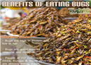សត្វចង្រិតជាអាហារ ដែលមានអត្ថប្រយោជន៍ល្អបំផុត  ចំពោះសុខភាព