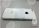 លេចចេញរូបភាព iPhone តំលៃថោក ប្រើសំបកធ្វើពីជ័រ