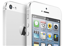 Apple បញ្ជាក់ថានឹងមិនមាន iPhone អេក្រង់ធំជាងមុន សំរាប់ពេលនេះទេ