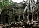 សារព័ត៌មាន CNN ដ៏ល្បីរបស់ សហរដ្ឋអាមេរិក ផ្ញើ email សុំទោសពីកំហុសរបស់ខ្លួន ចំពោះកម្ពុជា