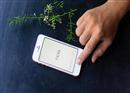 ទម្លាប់អាក្រក់ប៉ះពាល់ដល់ iPhone ដែលអ្នកគួរតែបោះបង់