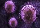 អ្នកផ្ទុកវីរុស HIV មានសង្ឃឹមហើយ! អ្នកវិទ្យាសាស្រ្ដបង្កើតអង់ទីគ័រថ្មី អាចសម្លាប់វីរុស HIV បាន ៩៩%
