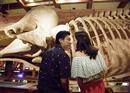 ត្រៀមក្រដាសជូតទឹកភ្នែកជាមួយនឹងរឿង 50 First Kisses
